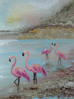 Flamingo Lagoon