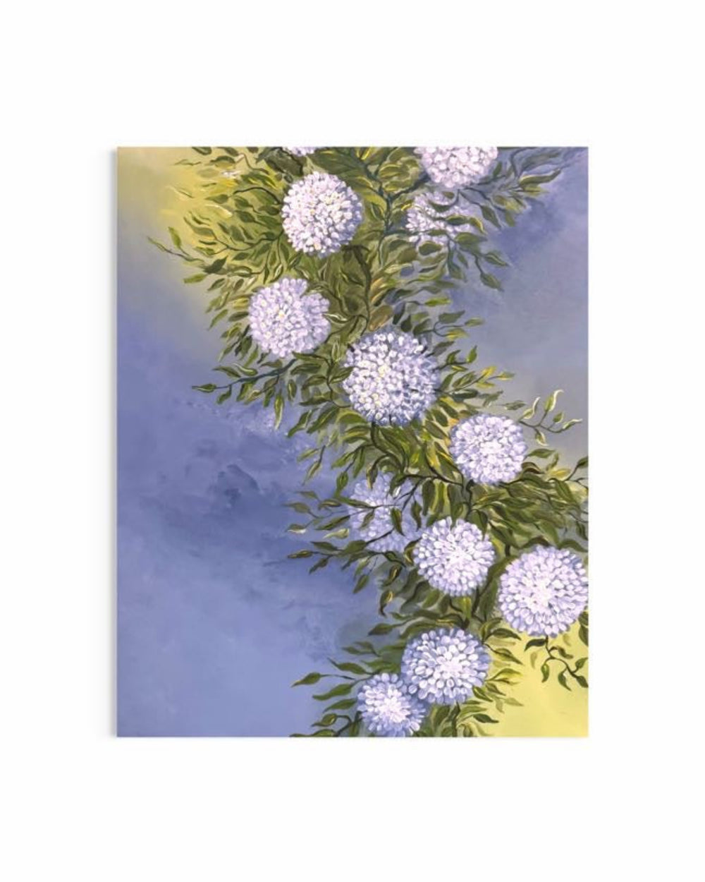 Dancing Hydrangeas