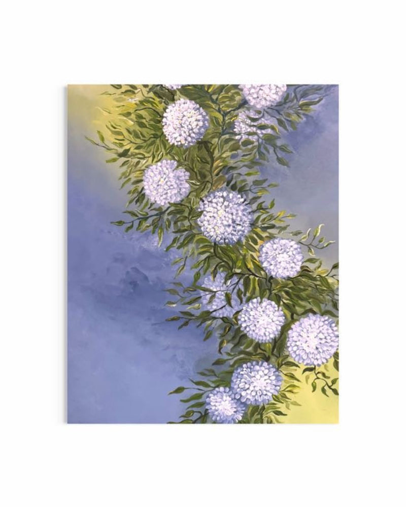 Dancing Hydrangeas